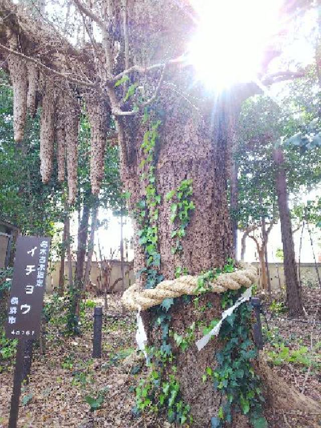 神奈川県横浜市港北区小机町110 住吉神社の写真6