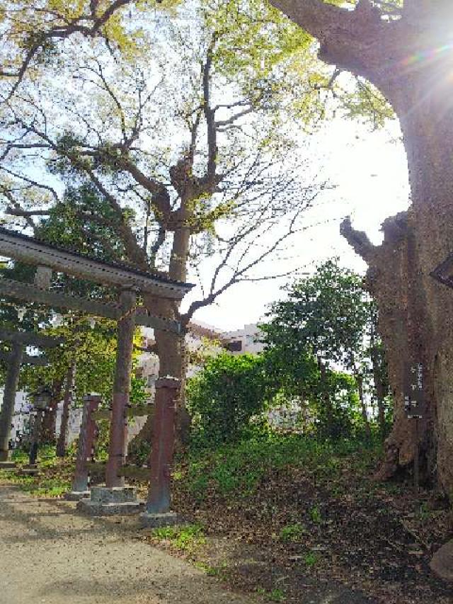 神奈川県横浜市港北区小机町110 住吉神社の写真13