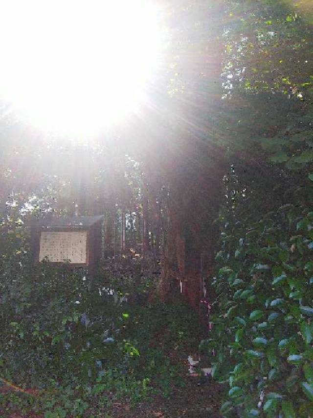 神奈川県横浜市港北区小机町110 住吉神社の写真20