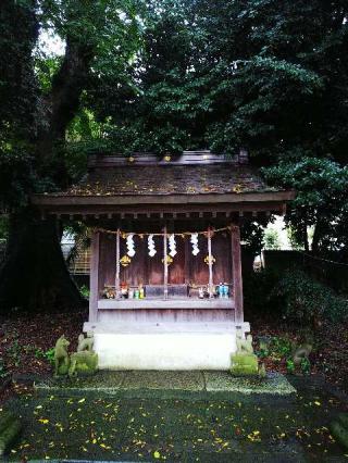 稲荷神社の参拝記録(またたびさん)