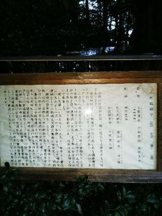 稲荷神社の参拝記録(またたびさん)