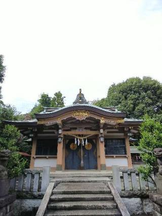 北新羽 杉山神社の参拝記録(またたびさん)
