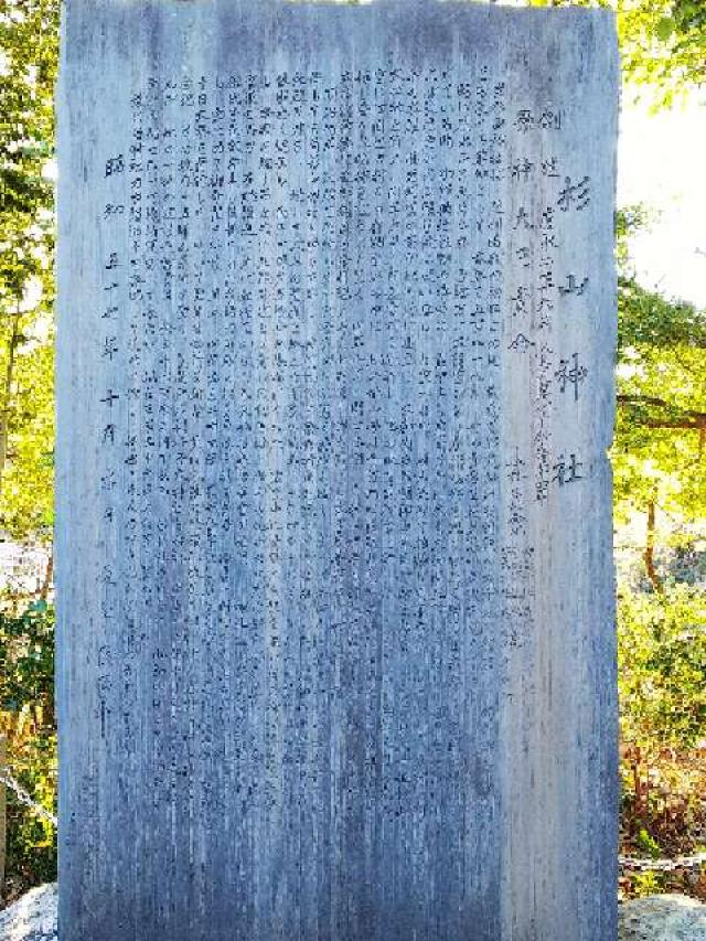 神奈川県横浜市港北区新羽町3918 北新羽 杉山神社の写真21