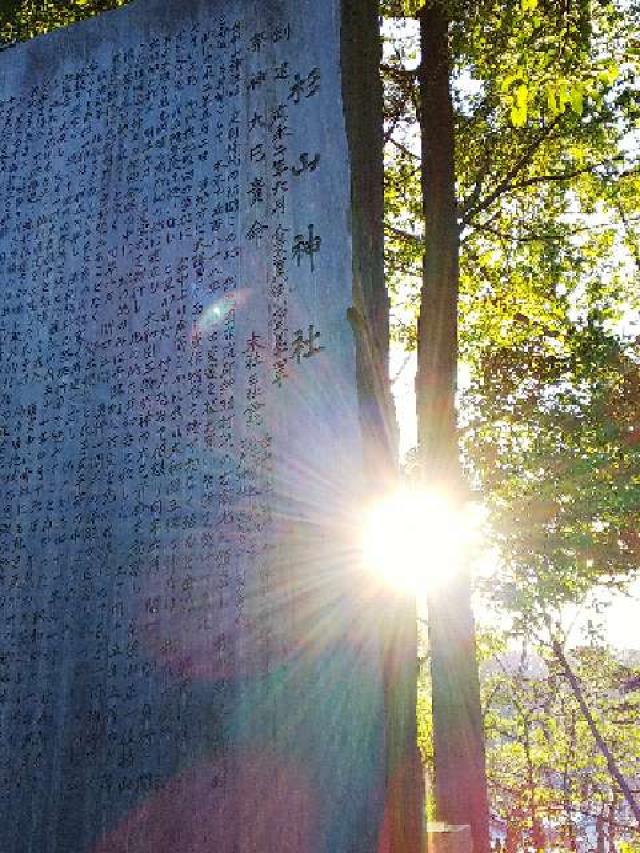 神奈川県横浜市港北区新羽町3918 北新羽 杉山神社の写真30