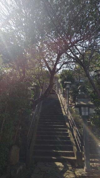 新羽 杉山神社の参拝記録(ミリさん)