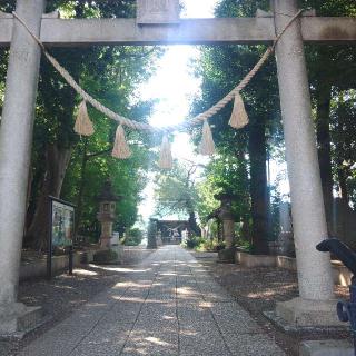 八幡大神（篠原八幡神社）の参拝記録(バッカラさん)