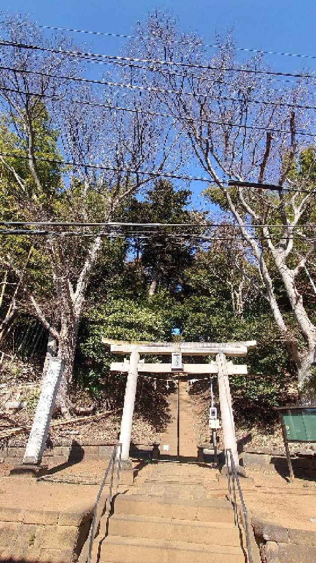 新吉田 杉山神社の参拝記録2