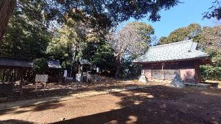 新吉田 杉山神社の参拝記録(猫狂さん)