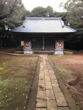新吉田 杉山神社の参拝記録(こーちんさん)
