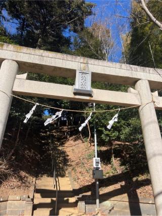 新吉田 杉山神社の参拝記録(⛩️🐍🐢まめ🐢🐍⛩️さん)
