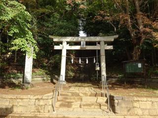 新吉田 杉山神社の参拝記録(かんたろうさん)