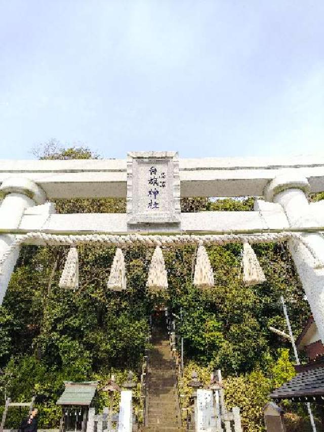 神奈川県横浜市戸塚区品濃町518ｰ7 白旗神社（品濃白旗神社）の写真21