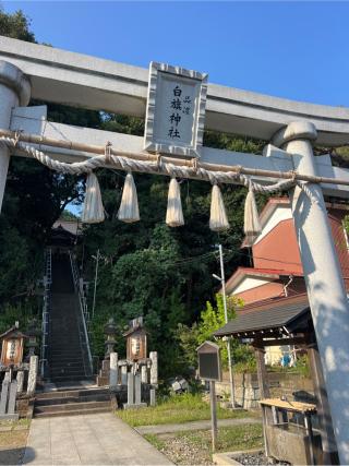 白旗神社（品濃白旗神社）の参拝記録(⛩️🐍🐢まめ🐢🐍⛩️さん)
