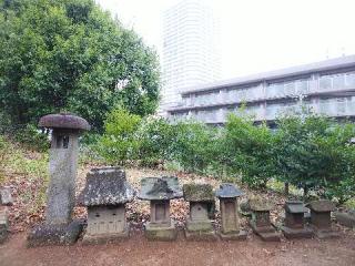 大六社の参拝記録(またたびさん)