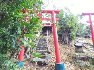 蔵王社（白旗神社末社）の参拝記録(またたびさん)