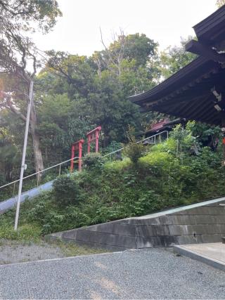 蔵王社（白旗神社末社）の参拝記録(⛩️🐍🐢まめ🐢🐍⛩️さん)