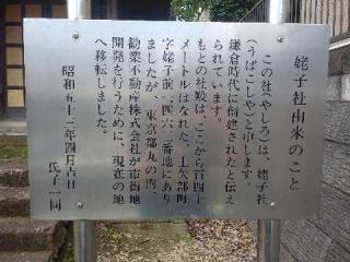 姥子神社の参拝記録(ひでまるさん)