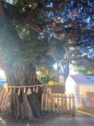 東峯八幡大神の参拝記録(シャモさん)