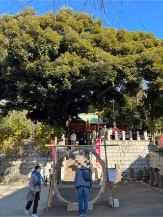 東峯八幡大神の参拝記録(シャモさん)