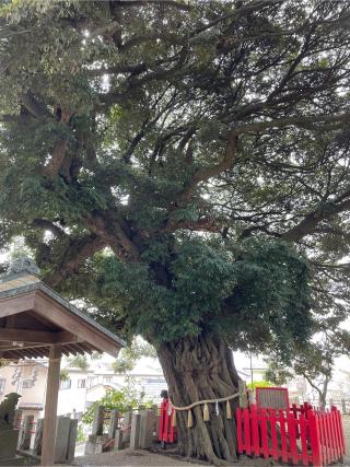 東峯八幡大神の参拝記録(juu-yuuさん)