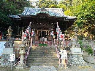 春日神社の参拝記録(ちゃぶさん)