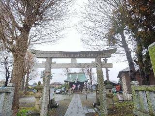 三嶋神社の参拝記録(またたびさん)