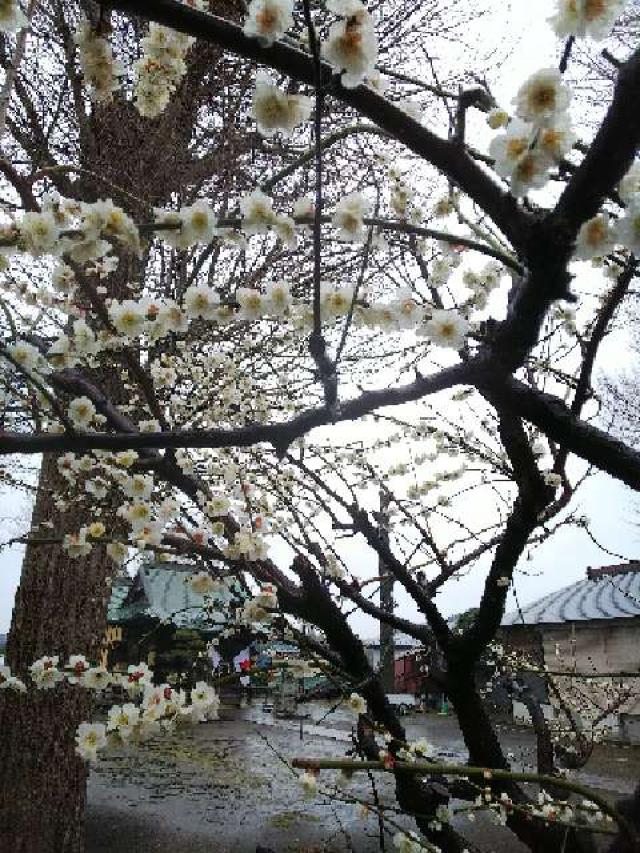 神奈川県横浜市旭区下川井町334 三嶋神社の写真12