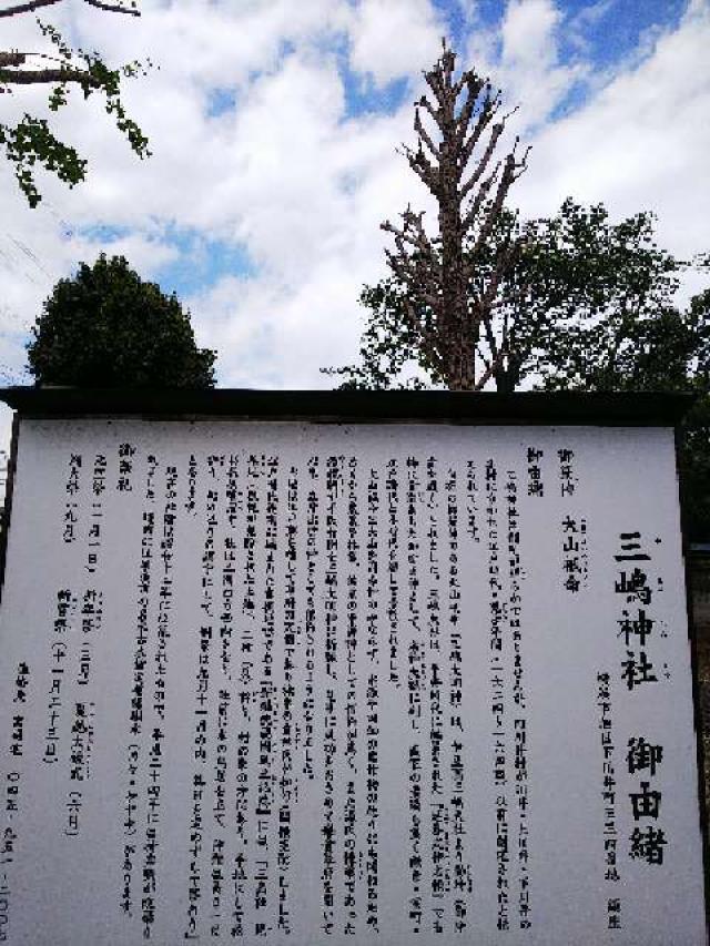 神奈川県横浜市旭区下川井町334 三嶋神社の写真25