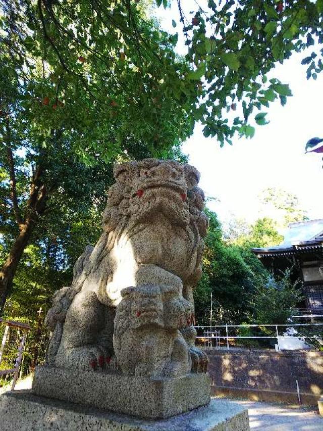 神奈川県横浜市緑区西八朔町208 杉山神社(武蔵國六之宮)の写真13
