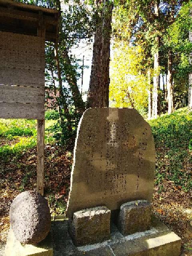 神奈川県横浜市緑区西八朔町208 杉山神社(武蔵國六之宮)の写真19