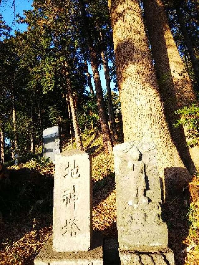 神奈川県横浜市緑区西八朔町208 杉山神社(武蔵國六之宮)の写真30