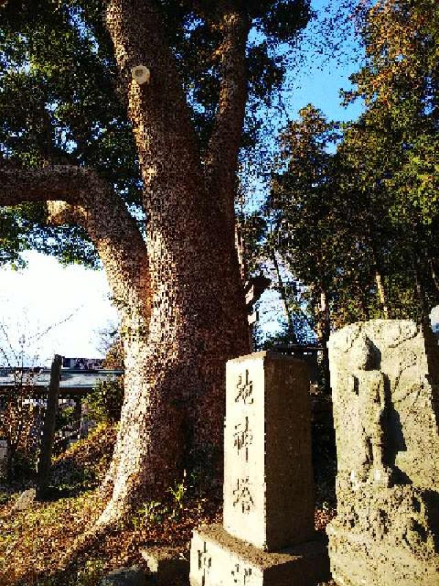 神奈川県横浜市緑区西八朔町208 杉山神社(武蔵國六之宮)の写真31