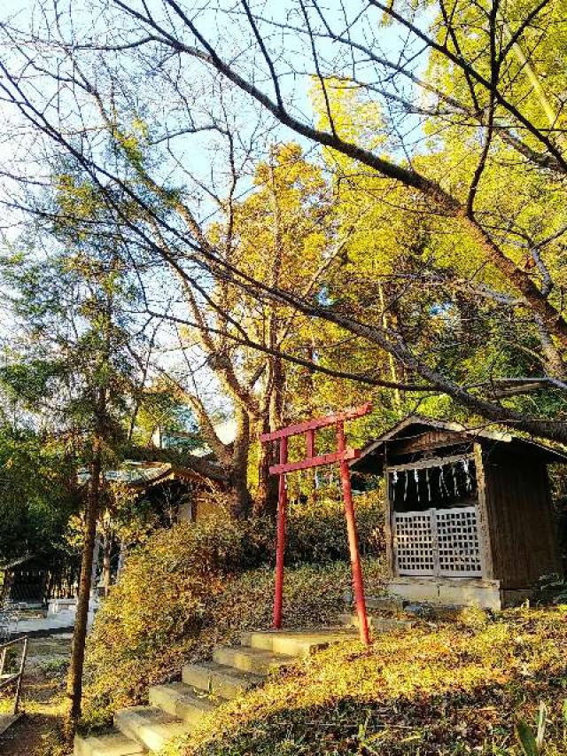 神奈川県横浜市緑区西八朔町208 杉山神社(武蔵國六之宮)の写真32