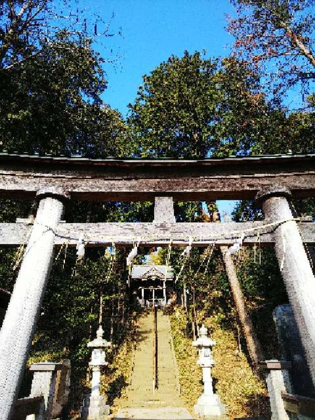 神奈川県横浜市緑区西八朔町208 杉山神社(武蔵國六之宮)の写真41