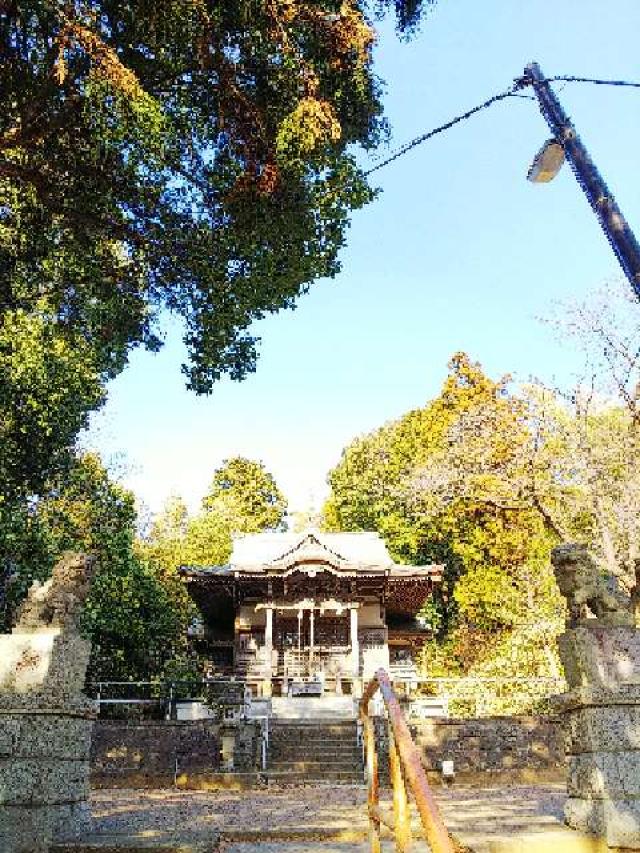 神奈川県横浜市緑区西八朔町208 杉山神社(武蔵國六之宮)の写真42