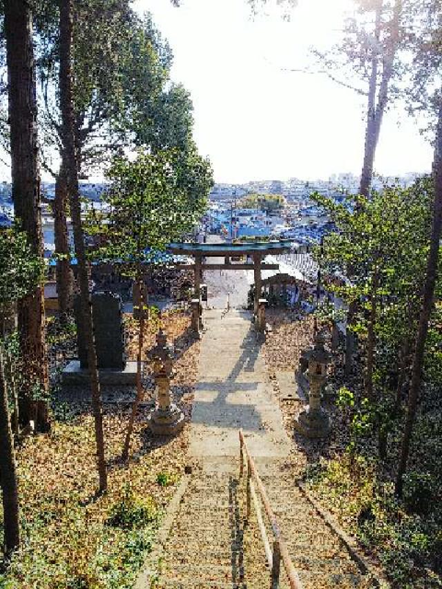 神奈川県横浜市緑区西八朔町208 杉山神社(武蔵國六之宮)の写真49
