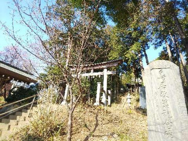 杉山神社(武蔵國六之宮)の参拝記録2