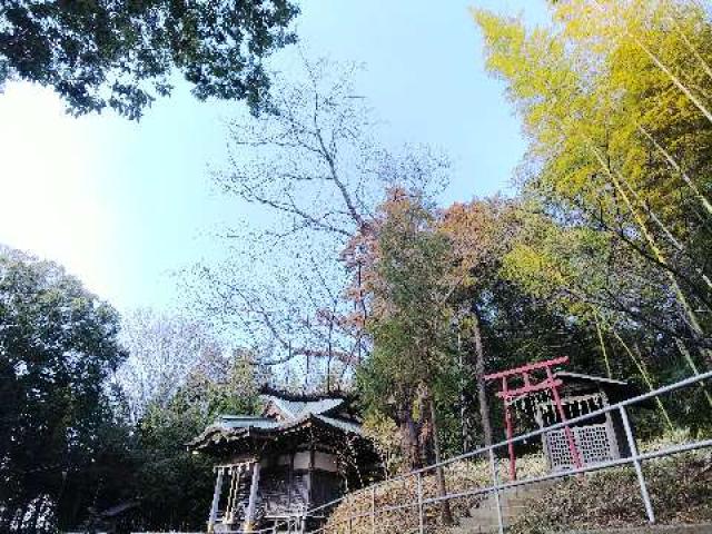 神奈川県横浜市緑区西八朔町208 杉山神社(武蔵國六之宮)の写真60