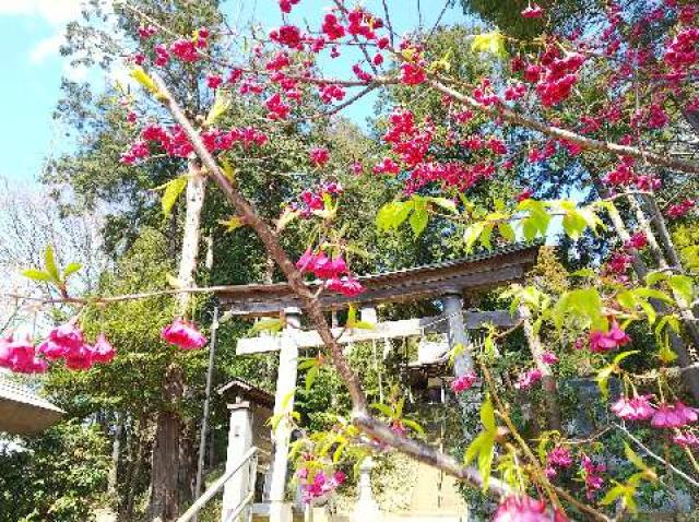 神奈川県横浜市緑区西八朔町208 杉山神社(武蔵國六之宮)の写真73