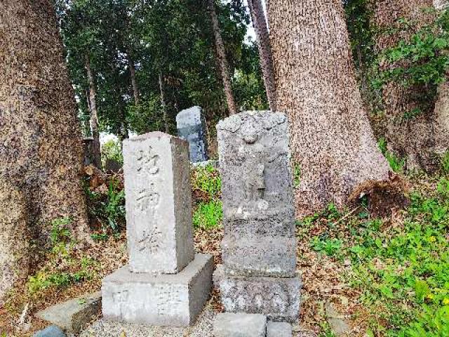 神奈川県横浜市緑区西八朔町208 杉山神社(武蔵國六之宮)の写真75
