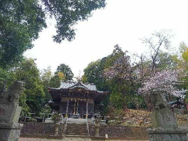 神奈川県横浜市緑区西八朔町208 杉山神社(武蔵國六之宮)の写真80
