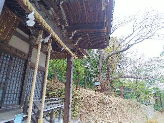 神奈川県横浜市緑区西八朔町208 杉山神社(武蔵國六之宮)の写真82