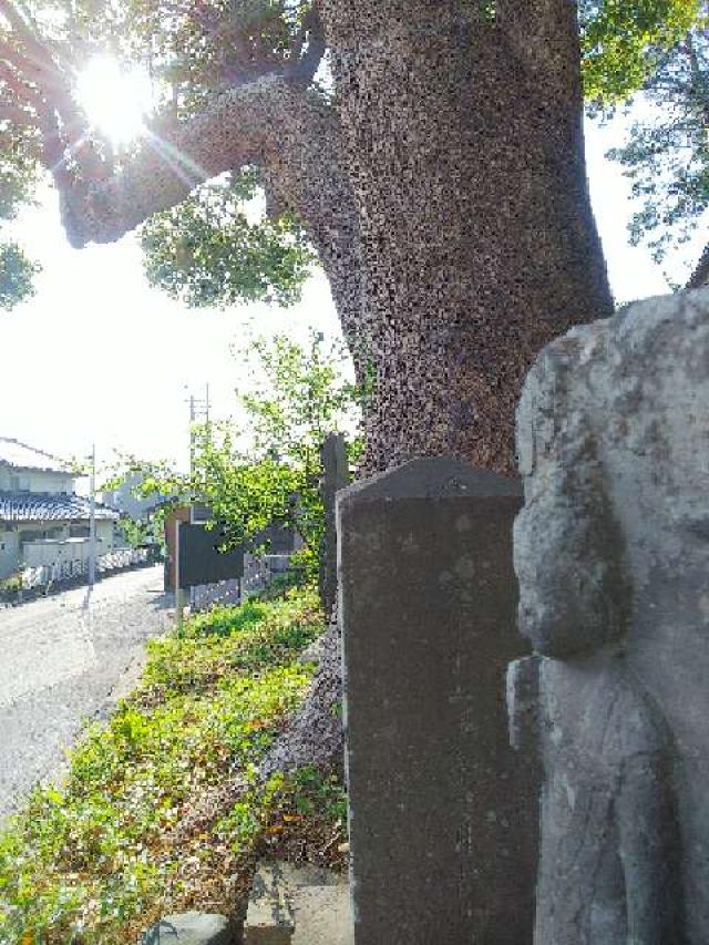 神奈川県横浜市緑区西八朔町208 杉山神社(武蔵國六之宮)の写真85