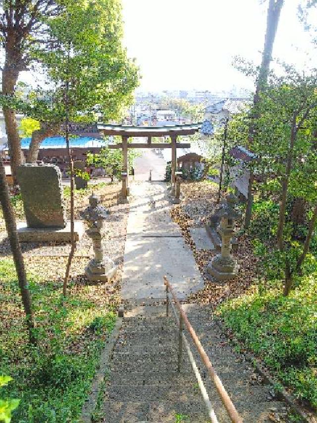 神奈川県横浜市緑区西八朔町208 杉山神社(武蔵國六之宮)の写真89