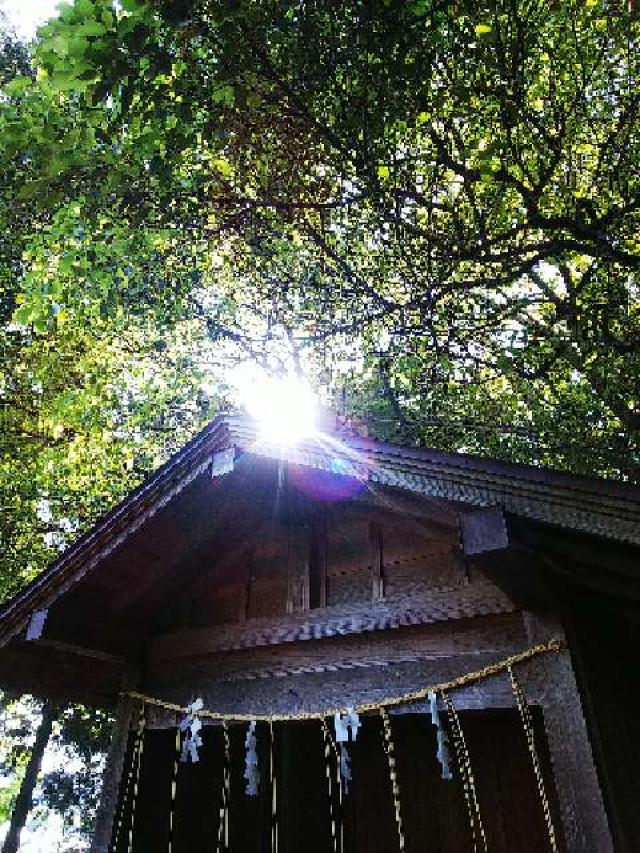 神奈川県横浜市緑区西八朔町208 杉山神社(武蔵國六之宮)の写真97