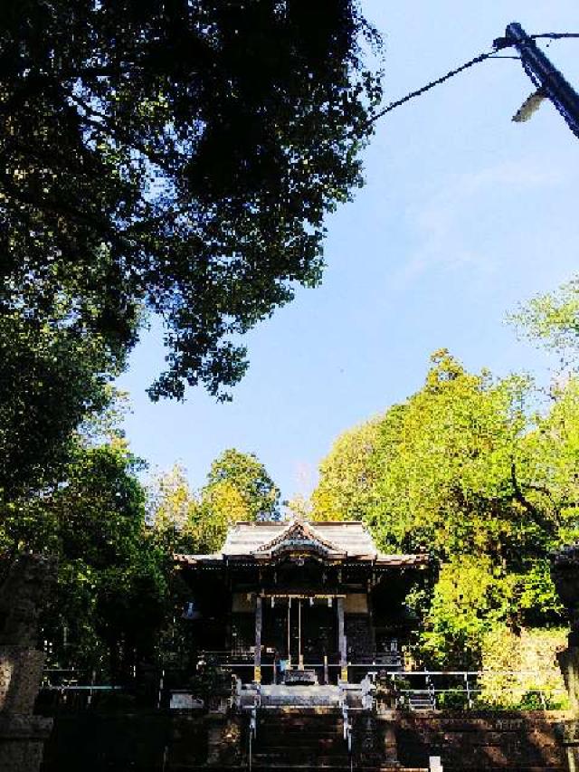 神奈川県横浜市緑区西八朔町208 杉山神社(武蔵國六之宮)の写真99