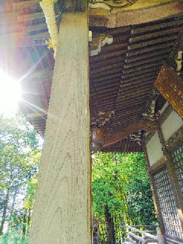 神奈川県横浜市緑区西八朔町208 杉山神社(武蔵國六之宮)の写真100