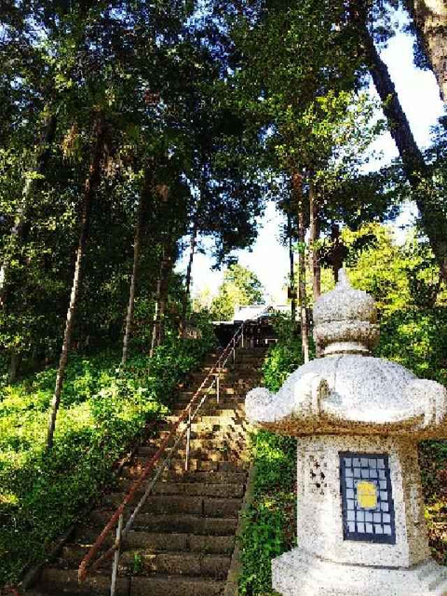 神奈川県横浜市緑区西八朔町208 杉山神社(武蔵國六之宮)の写真101