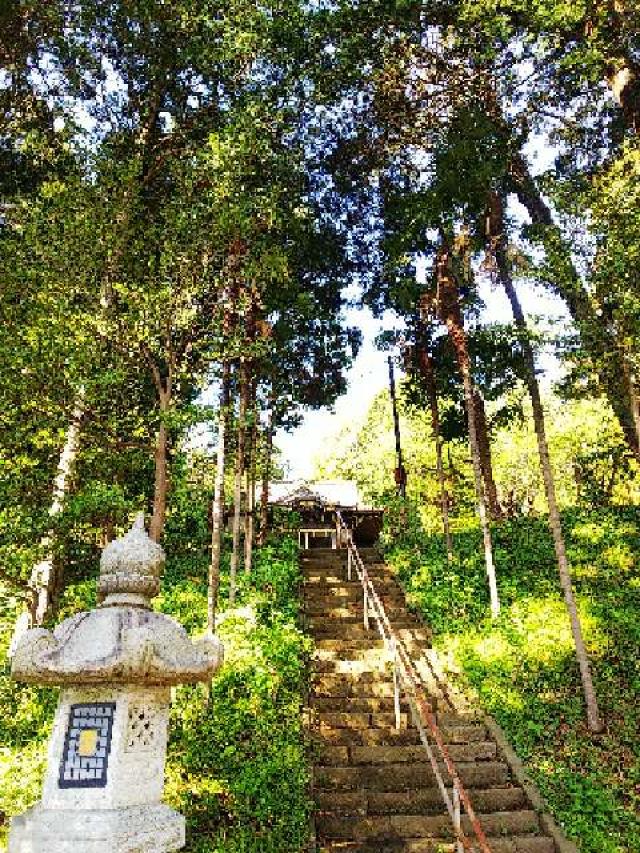 神奈川県横浜市緑区西八朔町208 杉山神社(武蔵國六之宮)の写真102