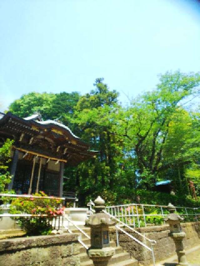神奈川県横浜市緑区西八朔町208 杉山神社(武蔵國六之宮)の写真106